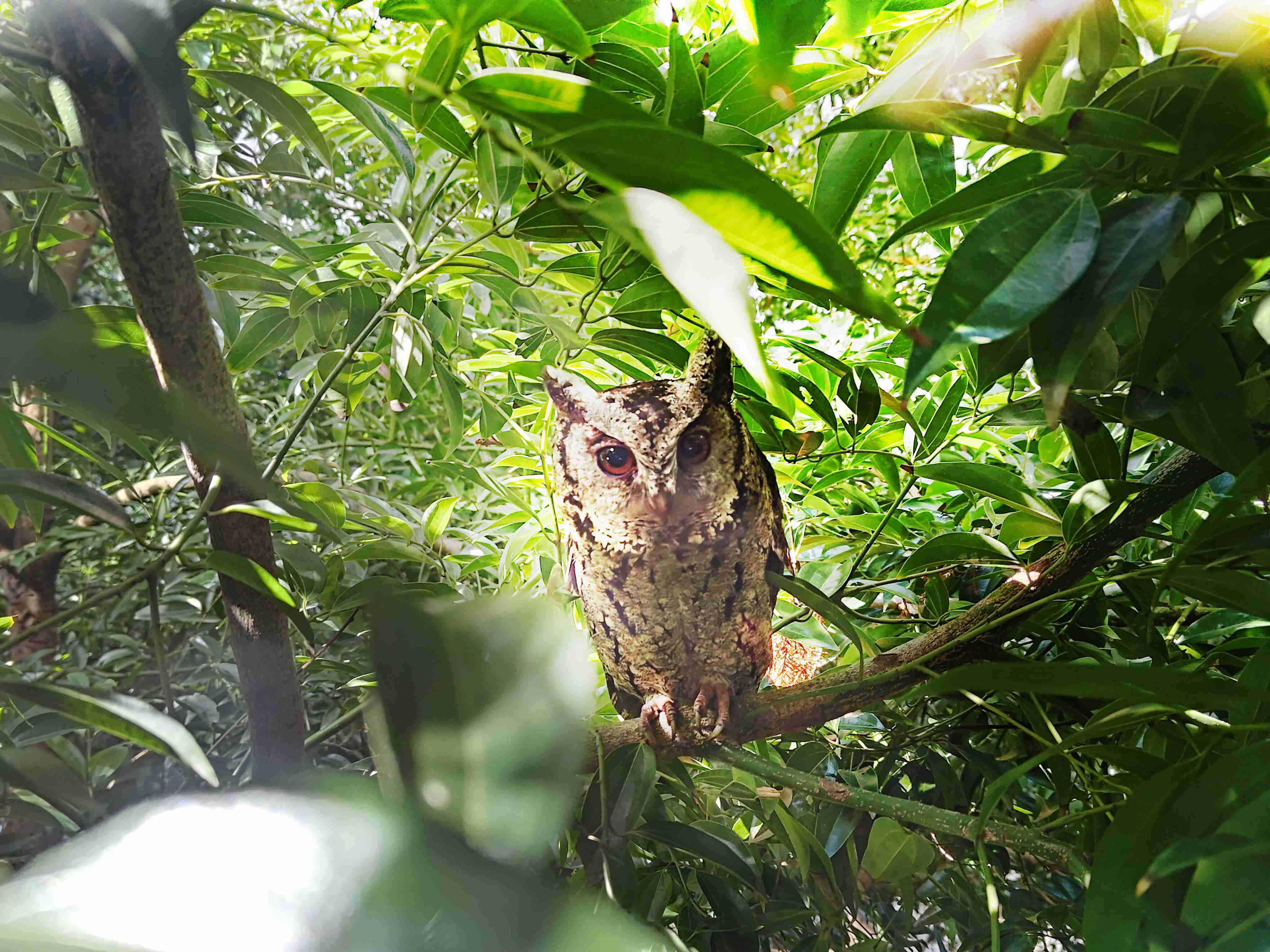 PA直营致力提倡净零绿生活，，16年以来在全球各厂区植树逾百万棵，，，造就各厂区树木蔚然成林，，犹如森林工厂，，，，成为许多生物的栖息地